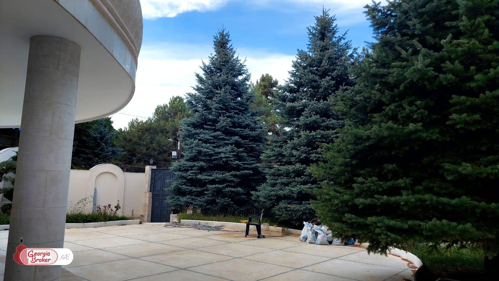 nearly repaired 11-room house for rent